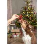 Navidad Regalo, con pechuga de pollo, loose 31 g