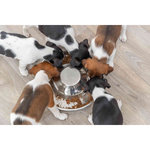 Comedero Cachorros, Acero Inox., 1.4 l, ø29 cm