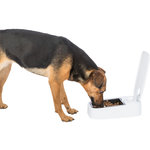 Comedero Autom. TX1, 300 ml, 13x7x24 cm, Gris/Negro