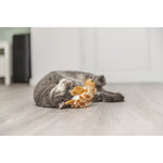 Tortuga Wriggly, peluche, 14 cm