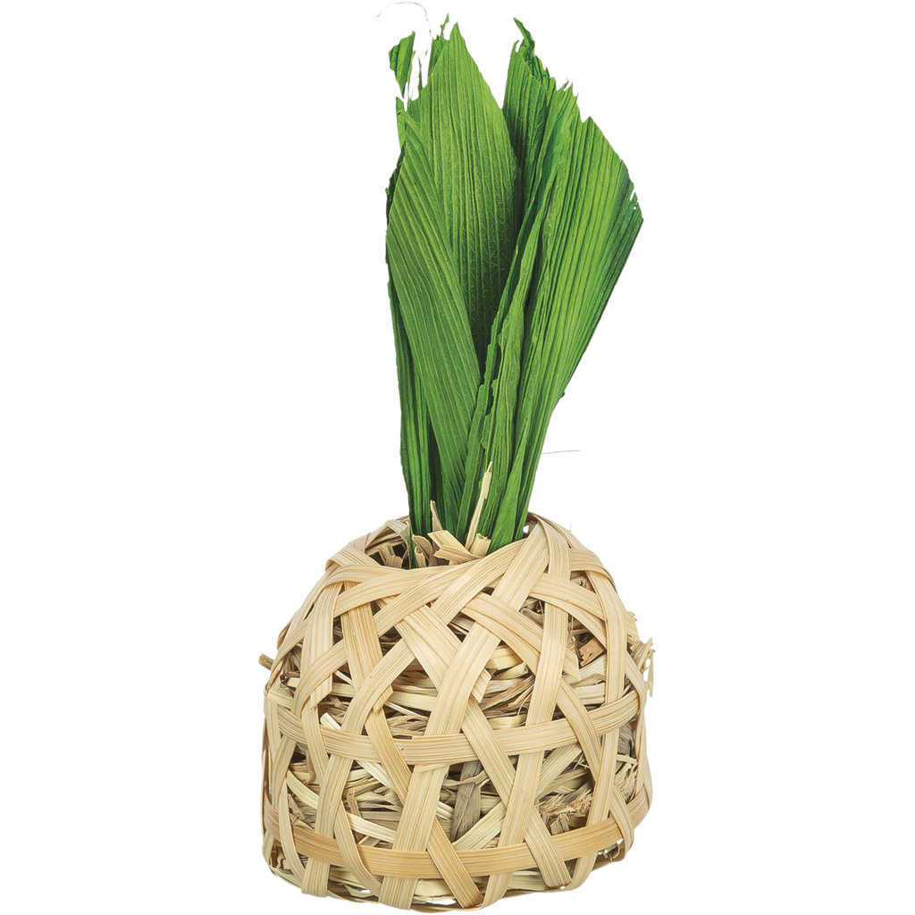 Piña, bambú con hojas de maíz y heno, 6,5 ×